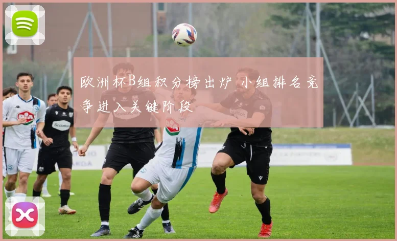 欧洲杯B组积分榜出炉 小组排名竞争进入关键阶段
