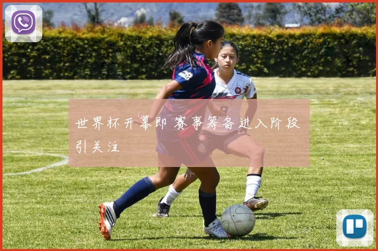 世界杯开幕即 赛事筹备进入阶段 引关注