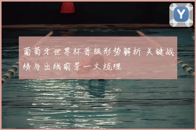 葡萄牙世界杯晋级形势解析 关键战绩与出线前景一文梳理