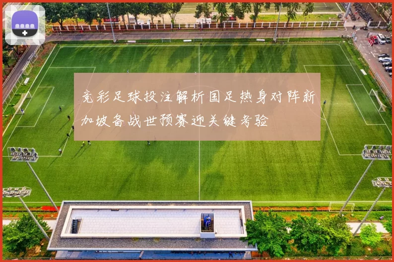 竞彩足球投注解析国足热身对阵新加坡备战世预赛迎关键考验